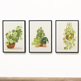 Planty Trio Art Print