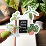 plant sticker for plant lovers