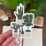 Plant Family Sticker