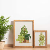 Hanging Plant Art Print