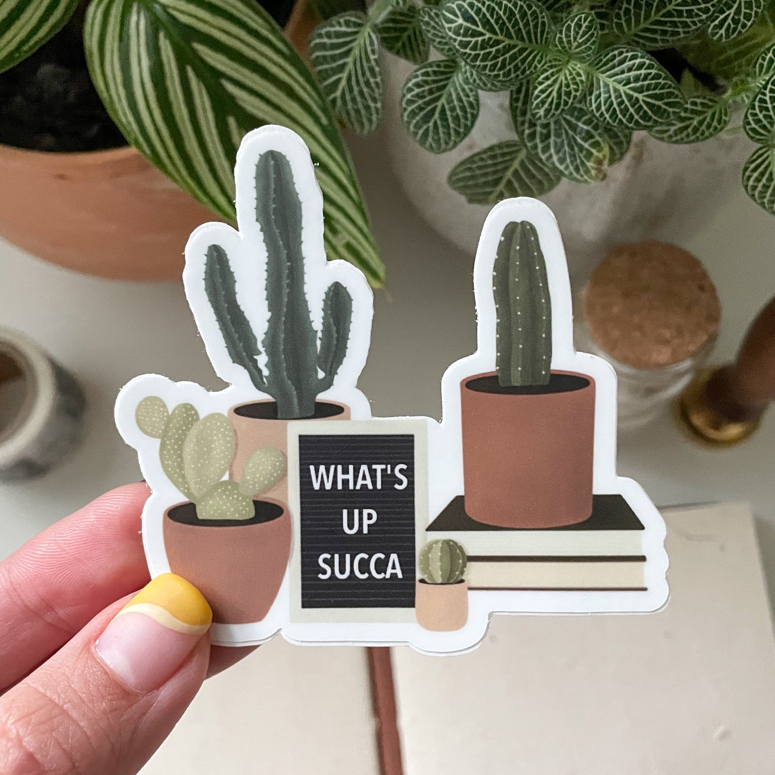 succulent plants stickers